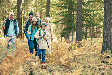 Gruppe von Personen mehrerer Generationen beim Wandern im Wald.
